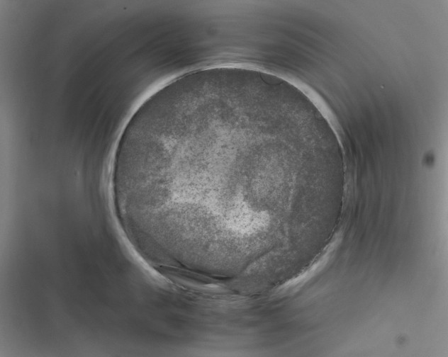 X0000116780957201001141509