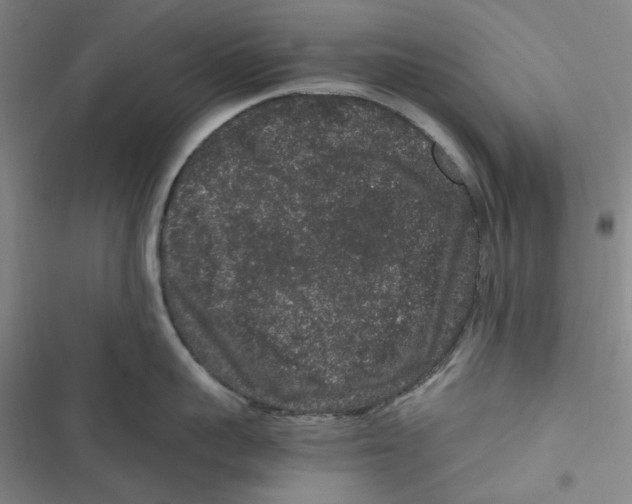 X0000116780959201001141509