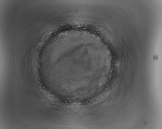 X0000116780961201001141508