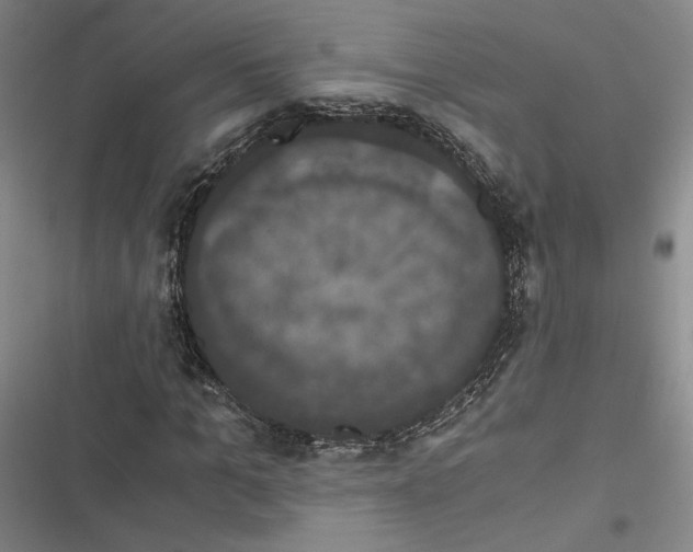 X0000116780965201001141508