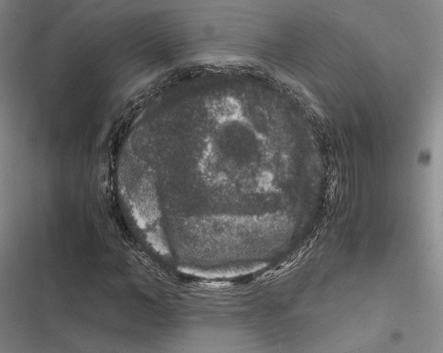 X0000116780966201001141508