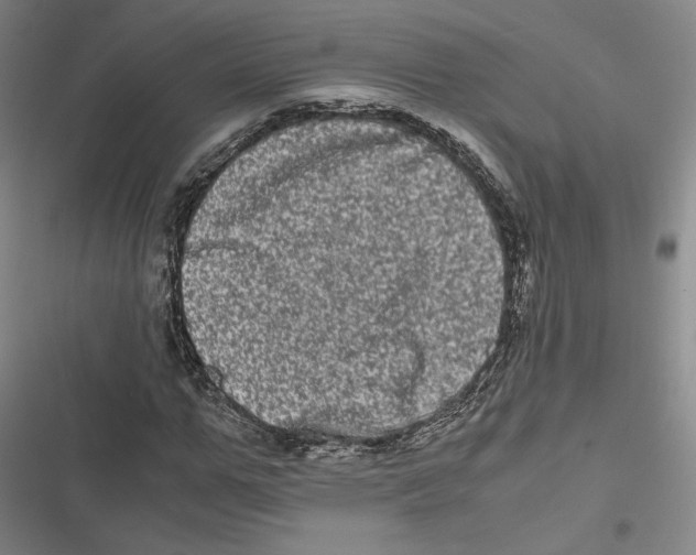 X0000116780967201001141508