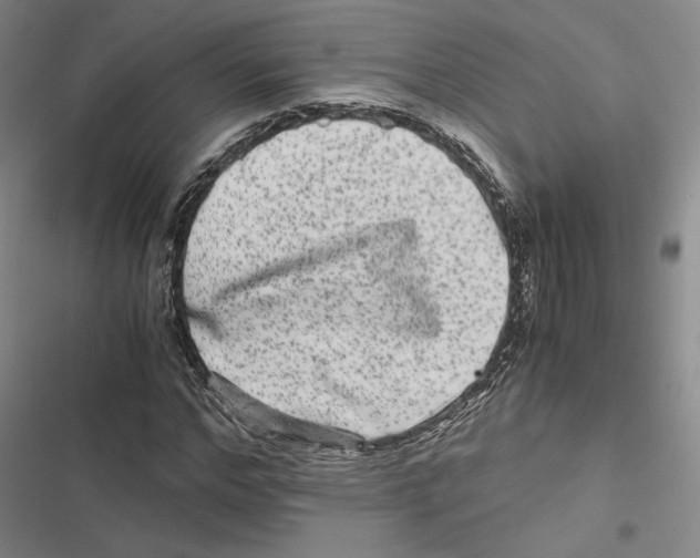 X0000116780968201001141508