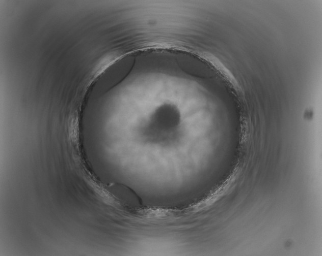 X0000116780969201001141508