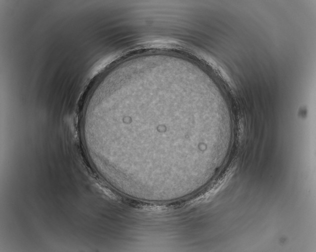 X0000116780970201001141508