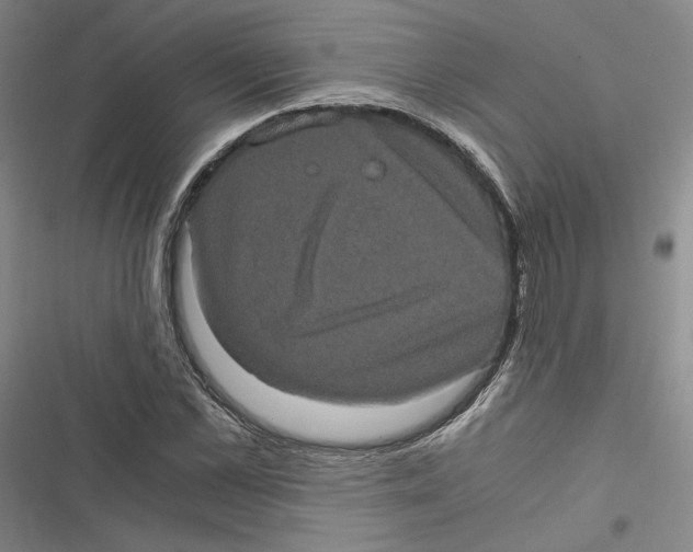 X0000116780973201001141508