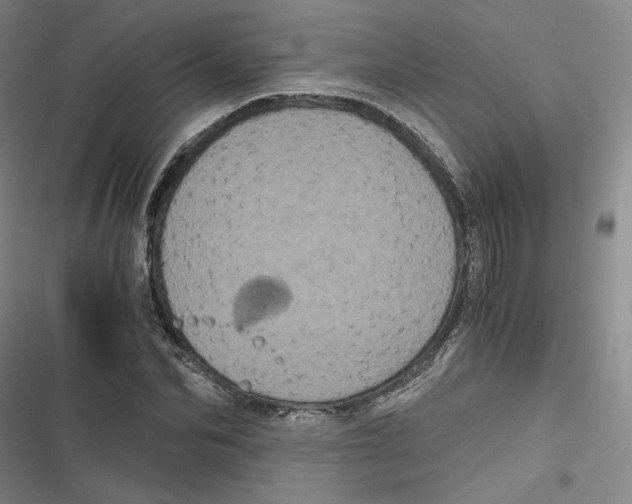 X0000116780974201001141508