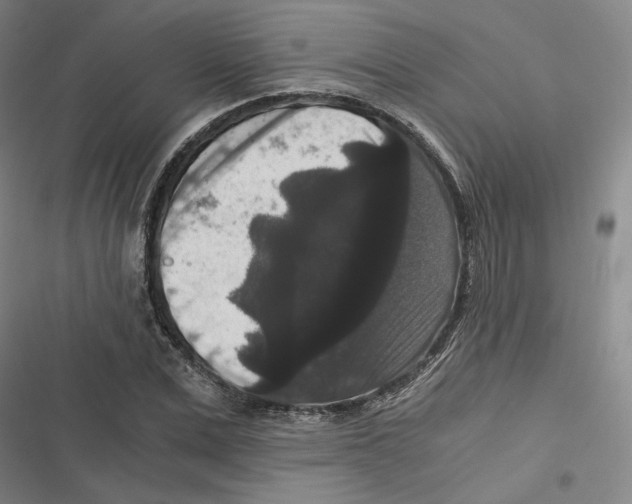 X0000116780975201001141508