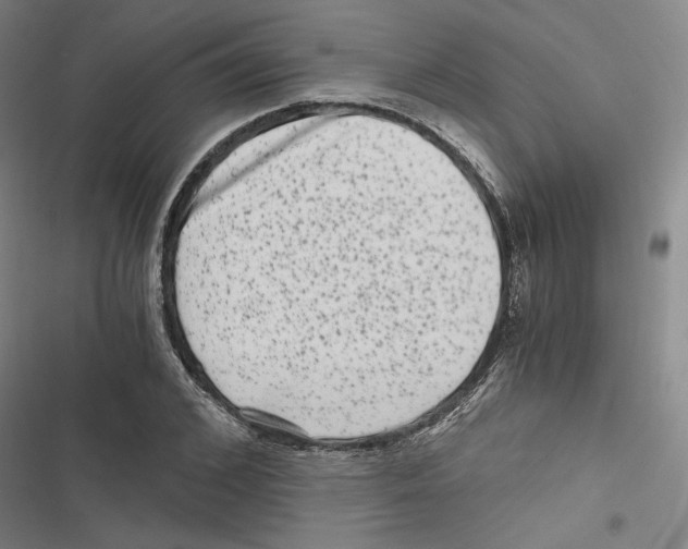 X0000116780976201001141508