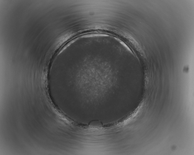 X0000116780977201001141508