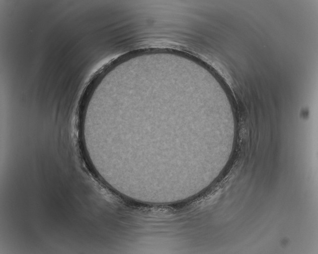 X0000116780979201001141508