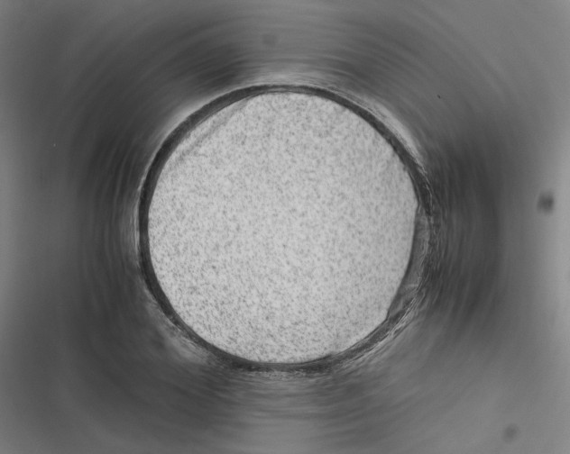 X0000116780980201001141508