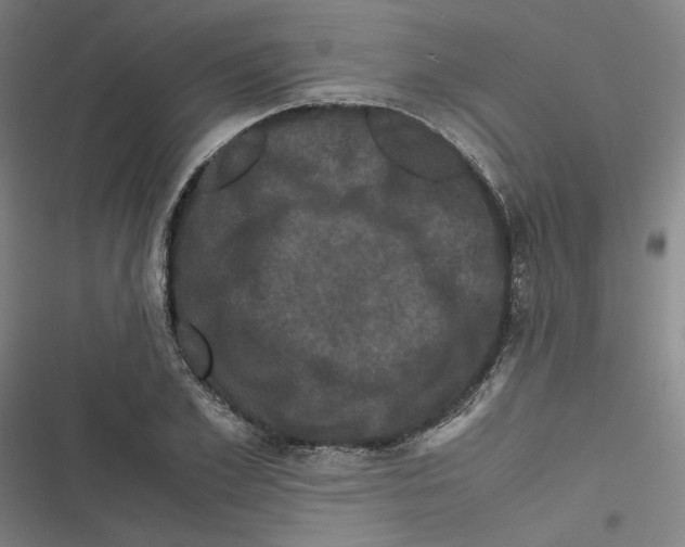 X0000116780981201001141508