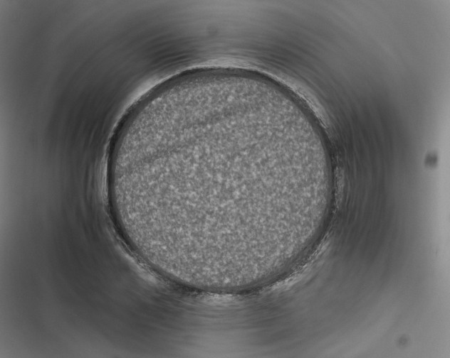 X0000116780982201001141508