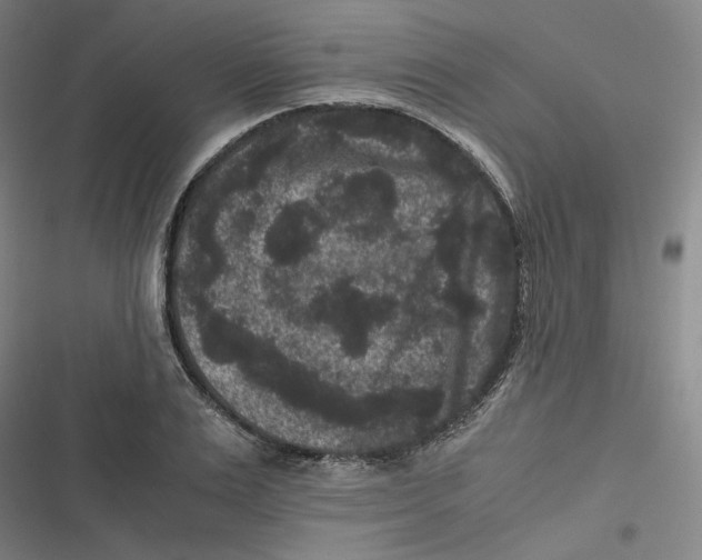 X0000116780983201001141508