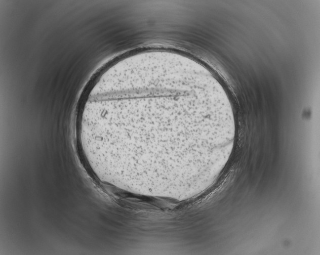 X0000116780984201001141508