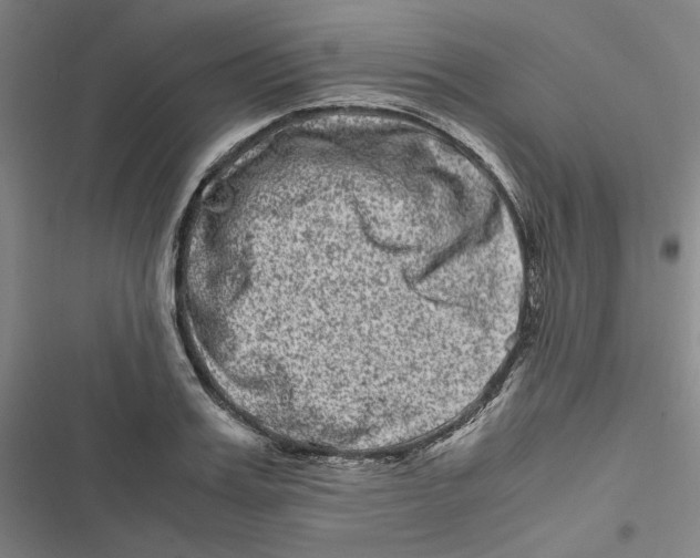 X0000116780987201001141508