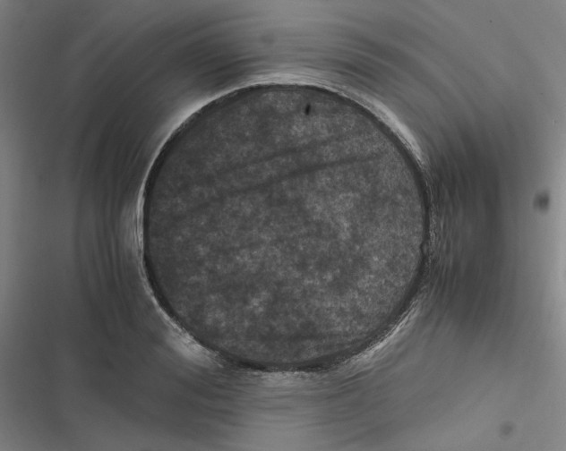 X0000116780988201001141508