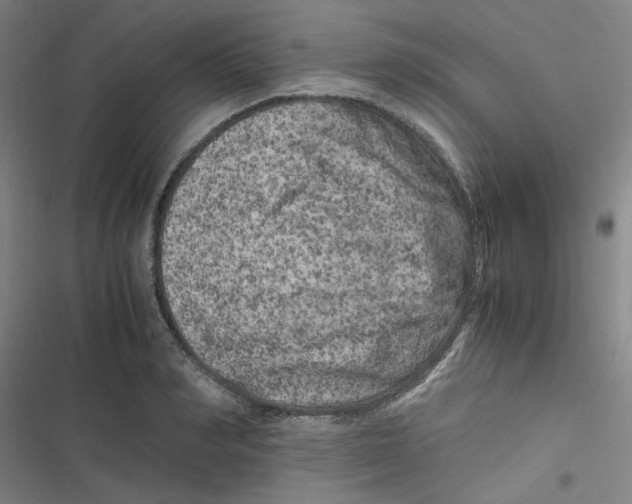 X0000116780990201001141508