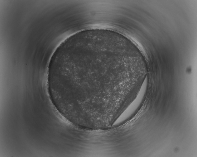 X0000116780992201001141508