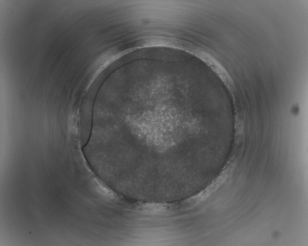 X0000116780993201001141508