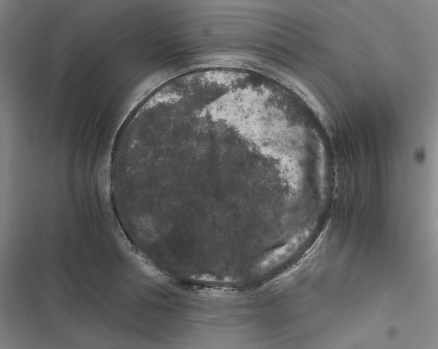 X0000116780994201001141508