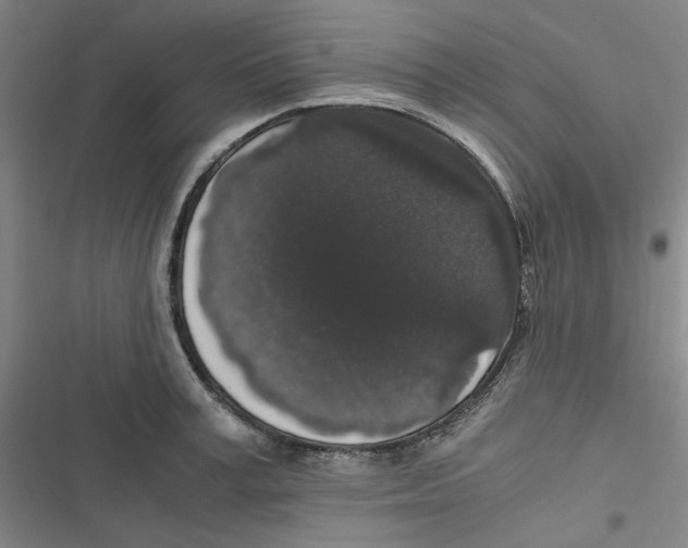 X0000116780995201001141508