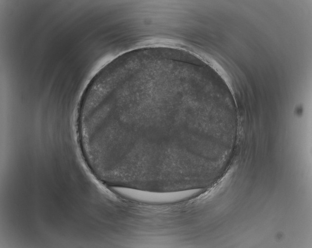 X0000116780997201001141508