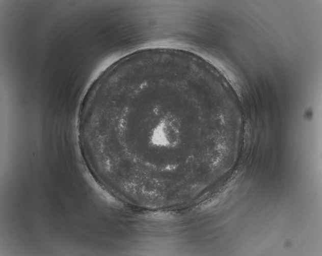 X0000116780998201001141508