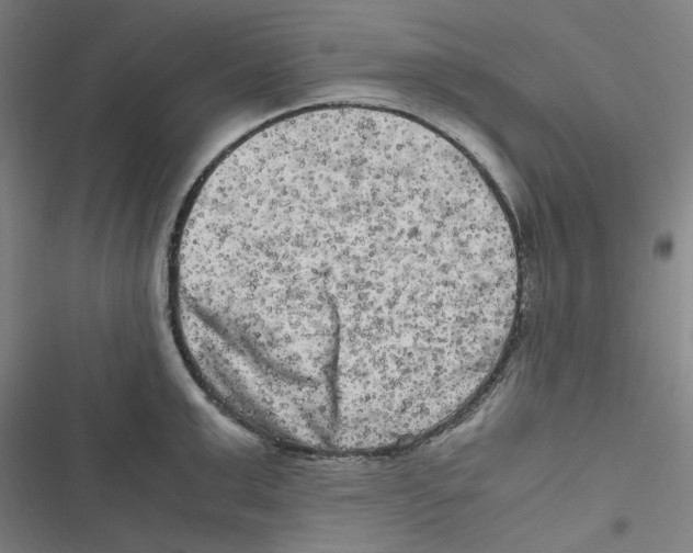 X0000116780999201001141508
