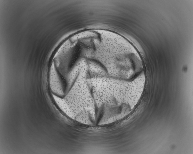 X0000116781000201001141508