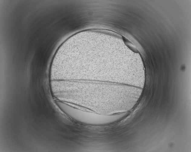 X0000116781004201001141508