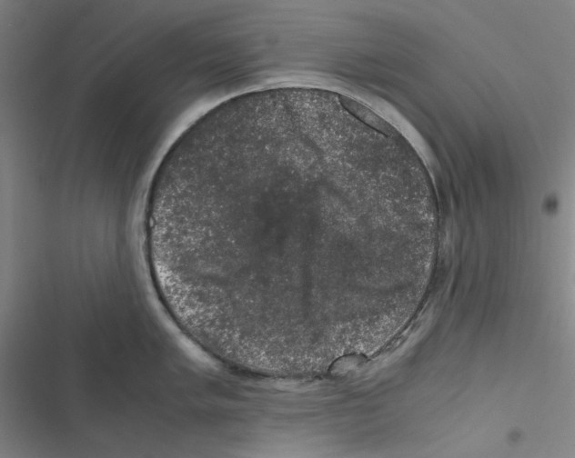 X0000116781005201001141508