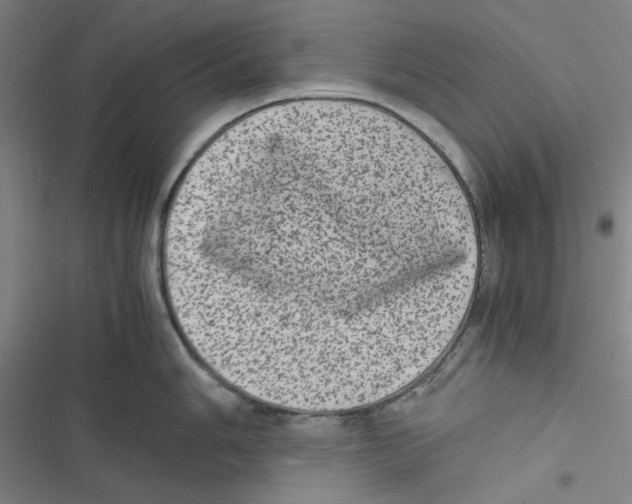 X0000116781006201001141508