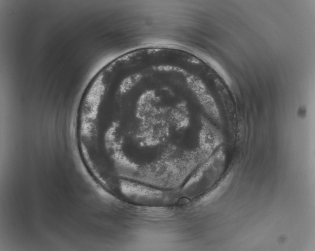 X0000116781007201001141508