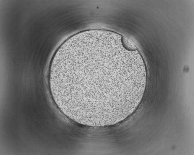 X0000116781008201001141507