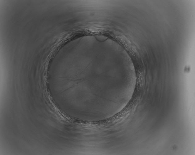 X0000116781009201001141507