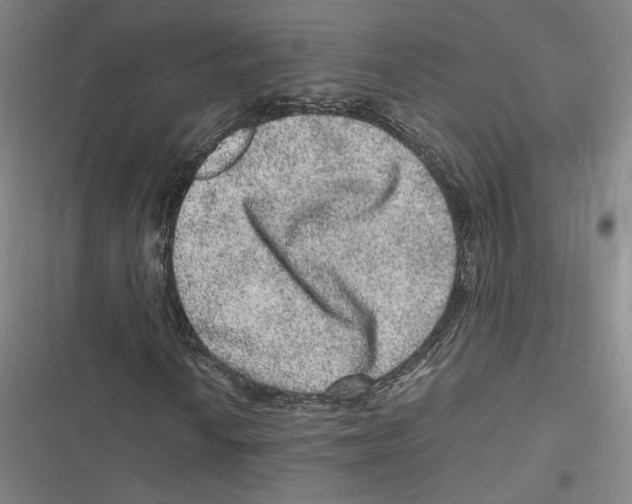 X0000116781010201001141507