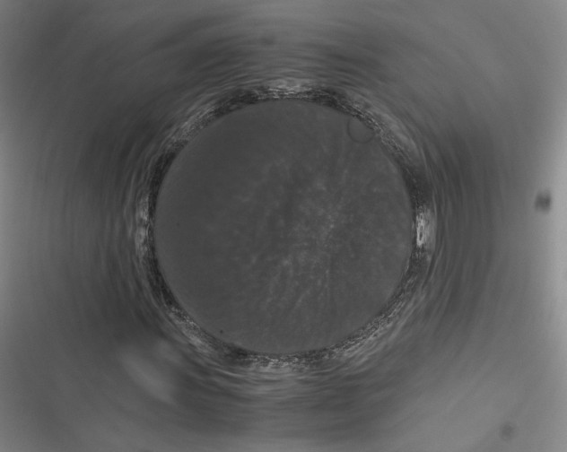 X0000116781011201001141507