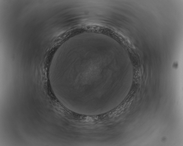 X0000116781013201001141507