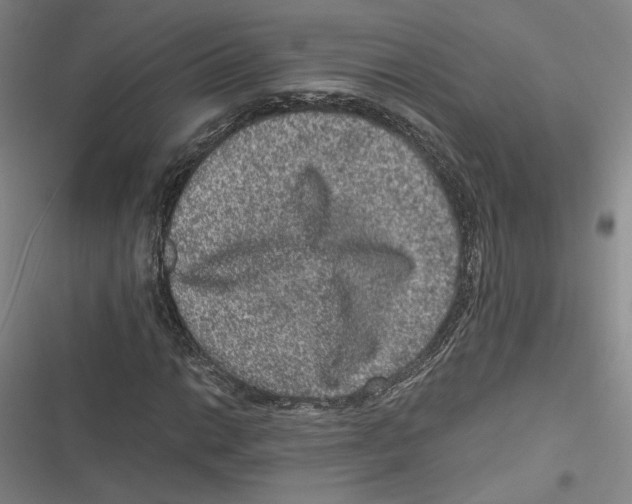 X0000116781014201001141507