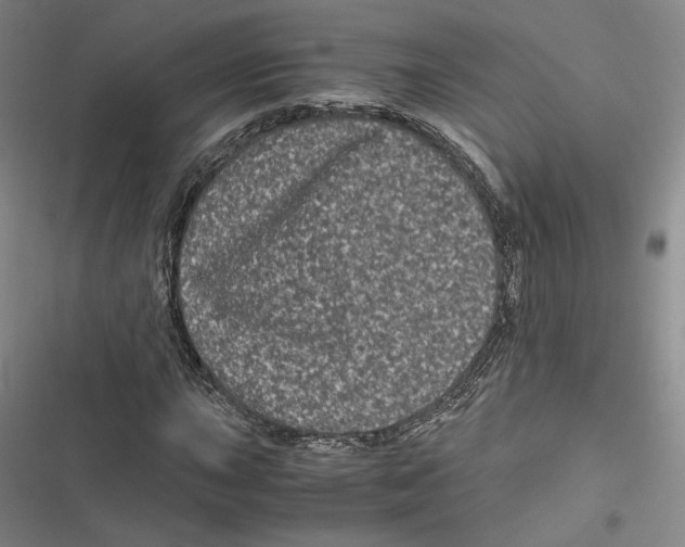 X0000116781015201001141507