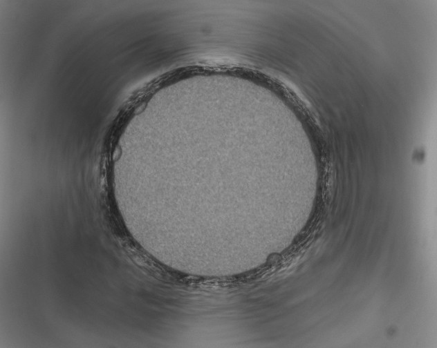 X0000116781016201001141507