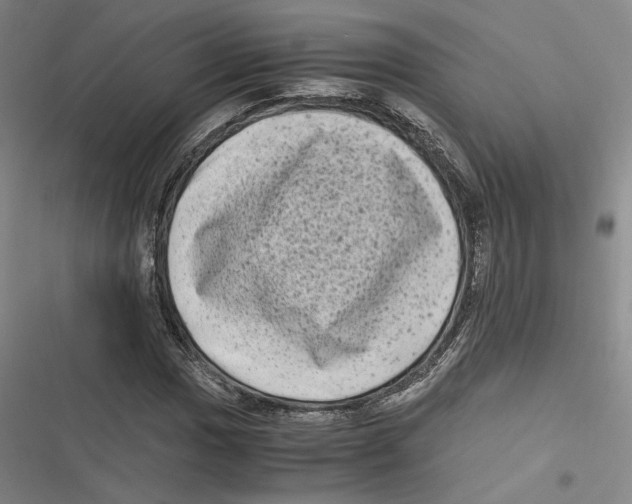 X0000116781017201001141507