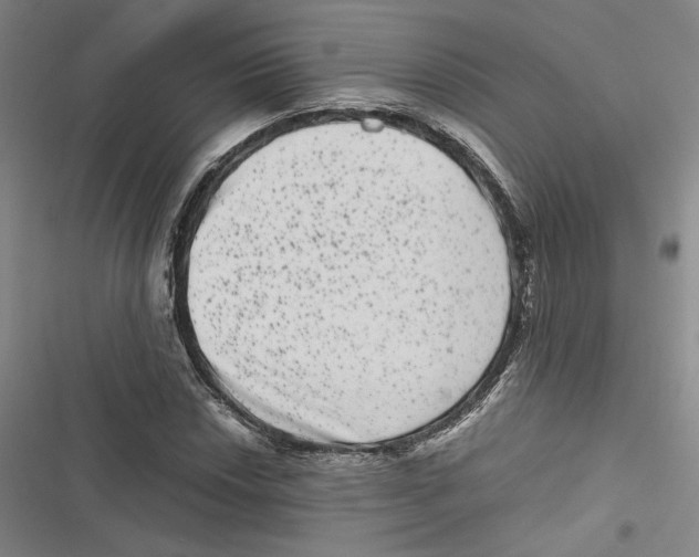 X0000116781018201001141507