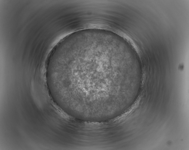 X0000116781019201001141507