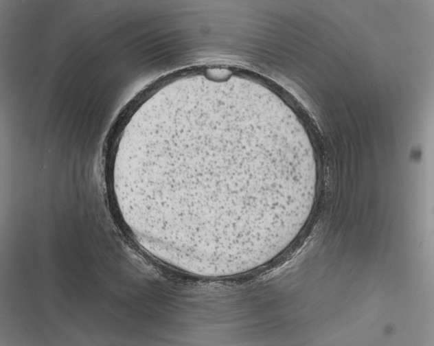 X0000116781022201001141507