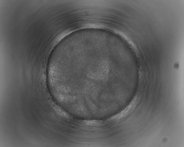 X0000116781025201001141507