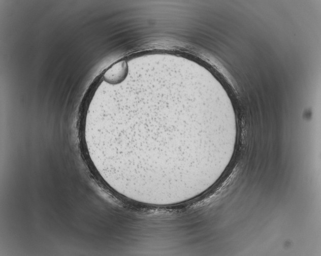 X0000116781026201001141507