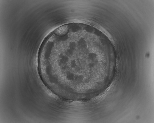 X0000116781028201001141507